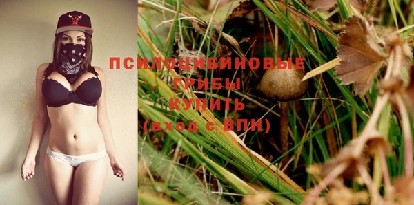 сатива Верхнеуральск