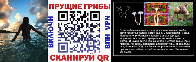 Купить Волхов Галлюциногенные грибы мухоморы
